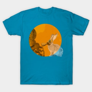 Poor rabbit on the moon T-Shirt